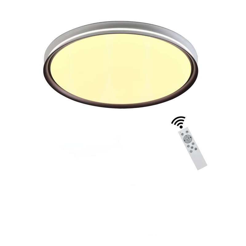 Oscar Smart Ceiling light Remote Control