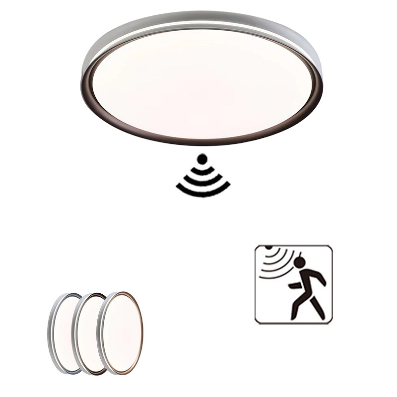 Oscar Microwave Motion Sensor Ceiling light