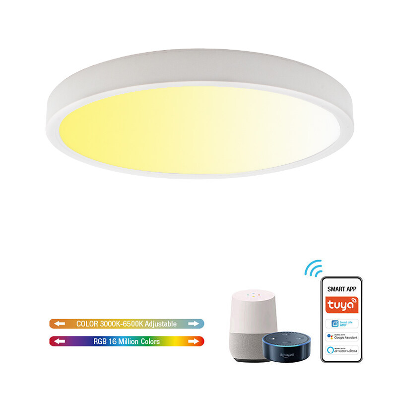 Ultra Slim smart ceiling light