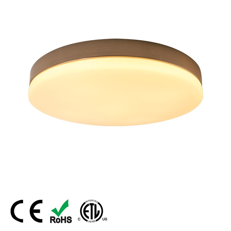 Hot selling ceiling light Customize