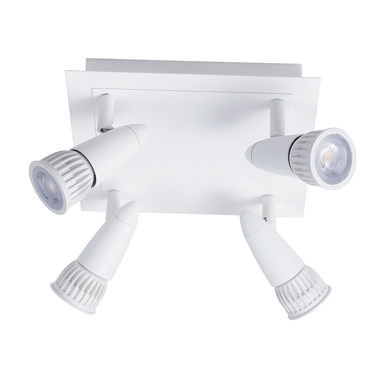 CSL-4A Surface Downlight