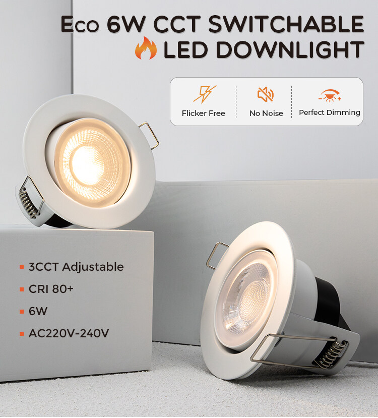 Eco 6W CCT SWITCHABLEW LED DOWNLIGHT